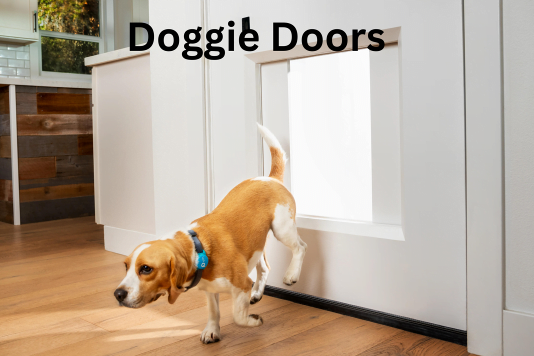 Doggie Doors